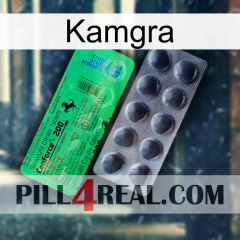 Kamgra new04